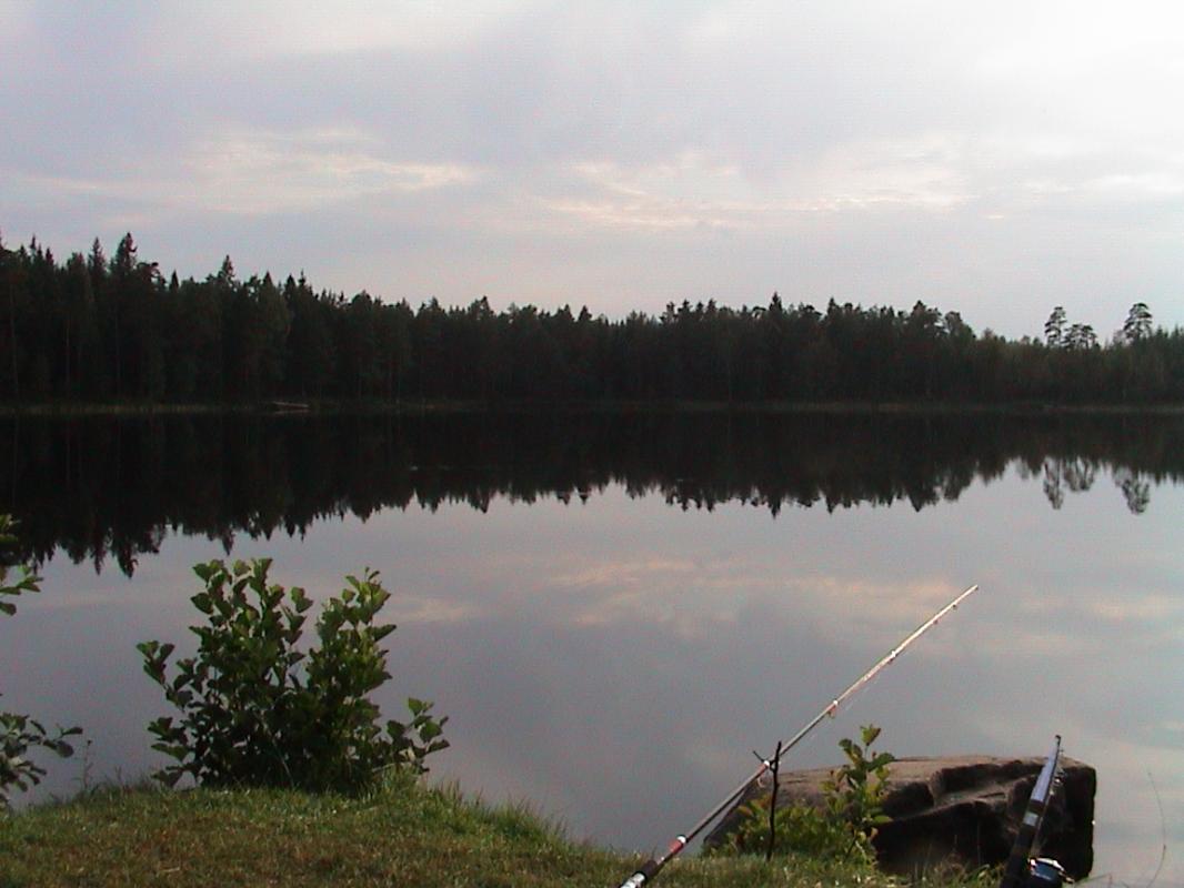 Bild von tranemo16 zum Faxsjön Ädelfiske