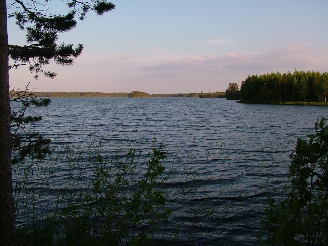 Bild Nr. 2 von tjard zum Lagmanshagasjön