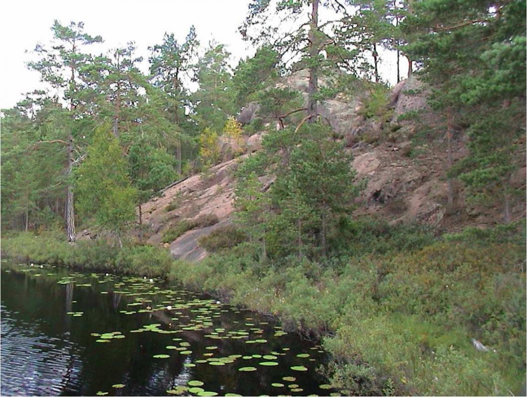 Bild Nr. 2 von tjard zum Stora Hammarsjöns Fiskevårdsområde