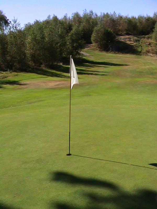 Bild Nr. 5 von tjard zum Skinnarebo Golf & Country Club